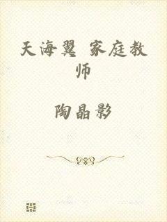 天海翼 家庭教师